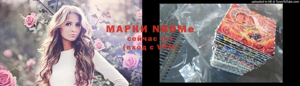 бошки Белокуриха