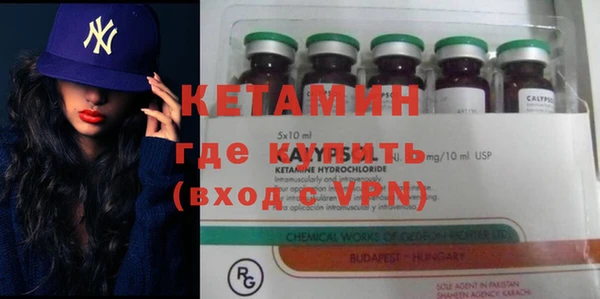 шишки Богородицк