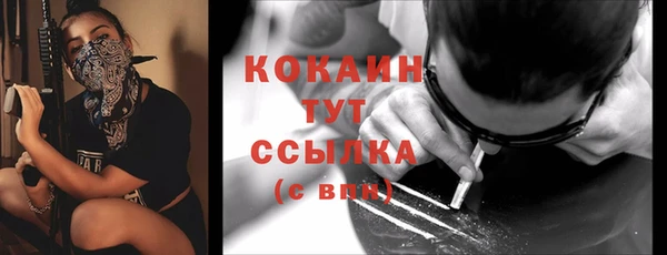 шишки Богородицк