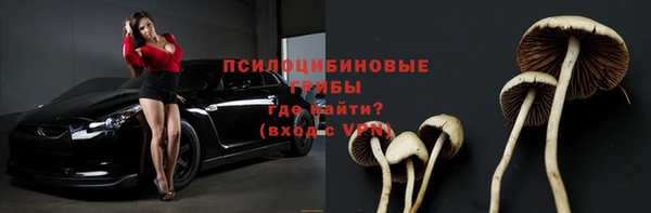 шишки Богородицк