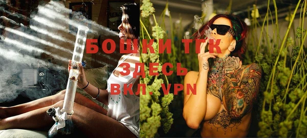 шишки Богородицк