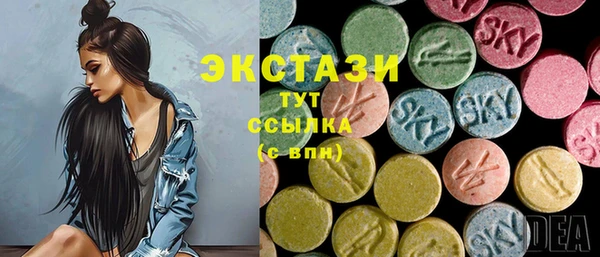 шишки Богородицк