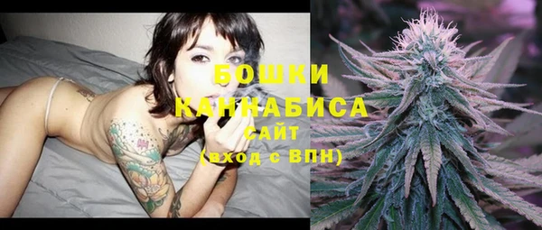 шишки Богородицк