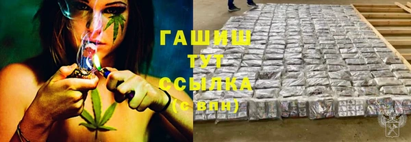 шишки Богородицк